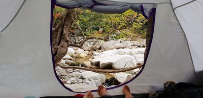 tent, camping, nature
