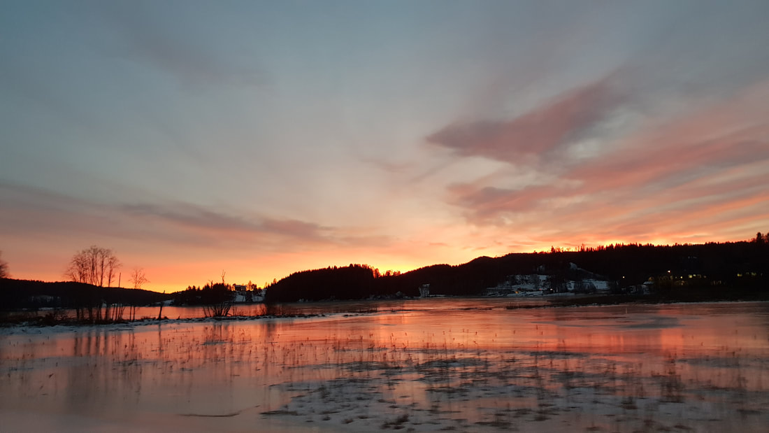norway sunset travel cheap trustedhousesitters