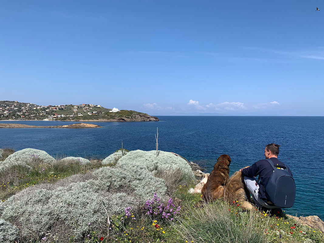 Overlooking the Aegean sea with 2 wonderful dogs