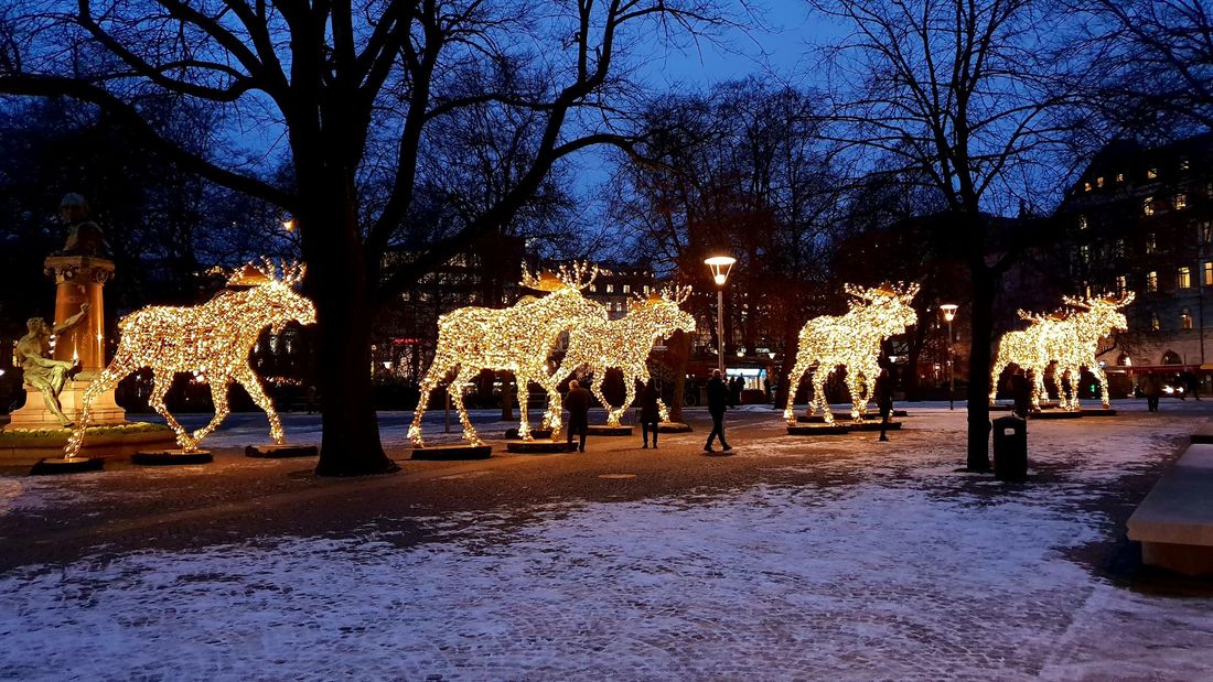 Sweden Christmas  live your myth 
